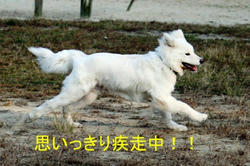 IMG_0372b.jpg