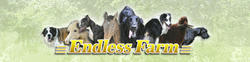 endlessfarm01_top.jpg
