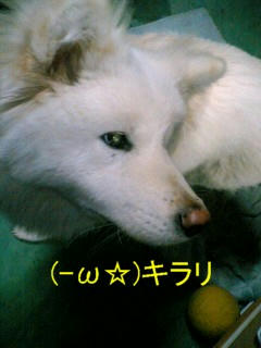 100111_0030~02.JPG