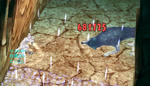 daa51490.jpg