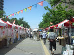 CIMG0704.JPG