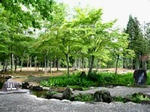 分水嶺公園