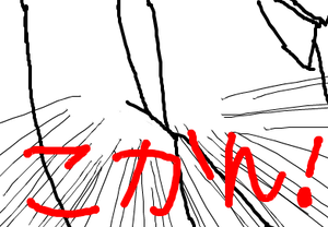 fimg_1239208238.png