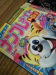ナンプレ雑誌