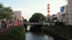 橋の上から