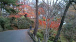 千秋公園図書館側付近