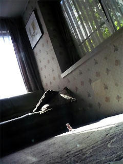 lonely,only