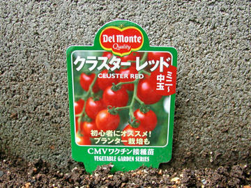 クラスターレッド