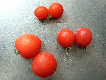 トマト３種
