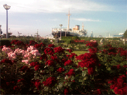 PT340160.gif