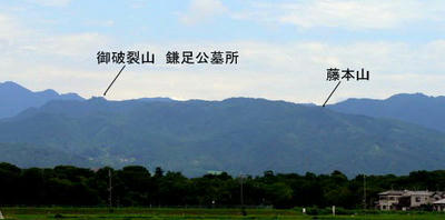 hujimoto.jpg
