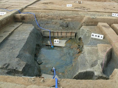 sP1060945.jpg