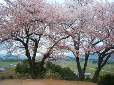 DSCF3547.jpg