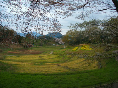 DSCF3548.jpg