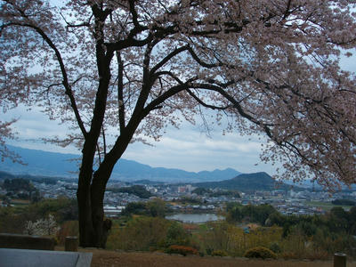 DSCF3545.jpg