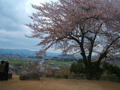 DSCF3546.jpg