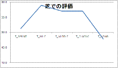 芝での評価