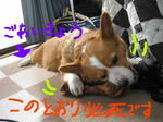 IMG_2242.jpg