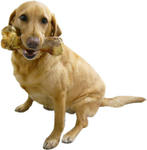 mimi_giant_bone.jpg