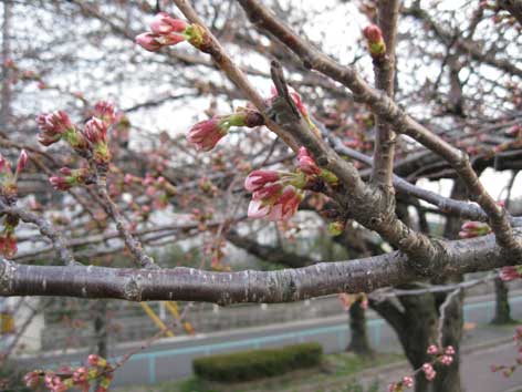 20120330.jpg