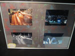 IMG_1165.JPG