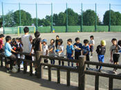 msc-1.jpg