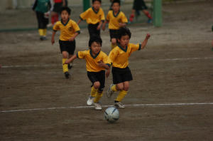 c90302fb.jpg