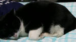 2008_1_17_1.jpg
