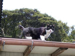 IMGP0208.JPG
