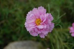 DSC_0018.jpg