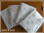 DSC00057.jpg