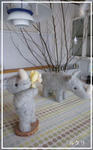 DSC00008.jpg