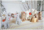 DSC00014.jpg