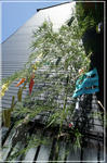 DSC00855.jpg