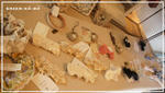 DSC01634.jpg