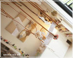 DSC01637.jpg
