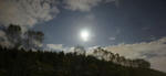 DSC01724.jpg