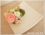 DSC02424.jpg