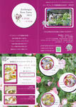 12050702.jpg