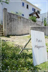 DSC04452.jpg