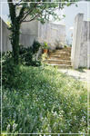 DSC04453.jpg
