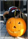 DSC06497.jpg