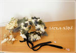 DSC07744.jpg