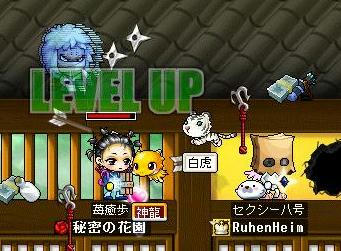 8.5.3-3up.jpg