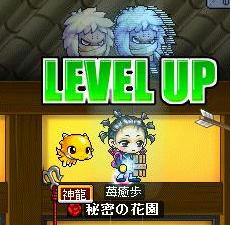 8.5.4-1up.jpg