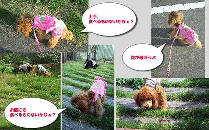 sanpo.jpg