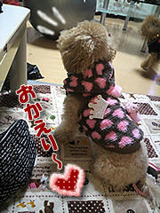 5f2bbf16.jpg