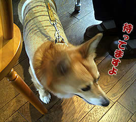 ai0220-7.jpg