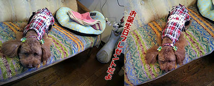 ai0226-6.jpg