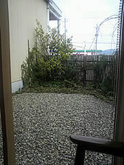 ai0325-2.jpg